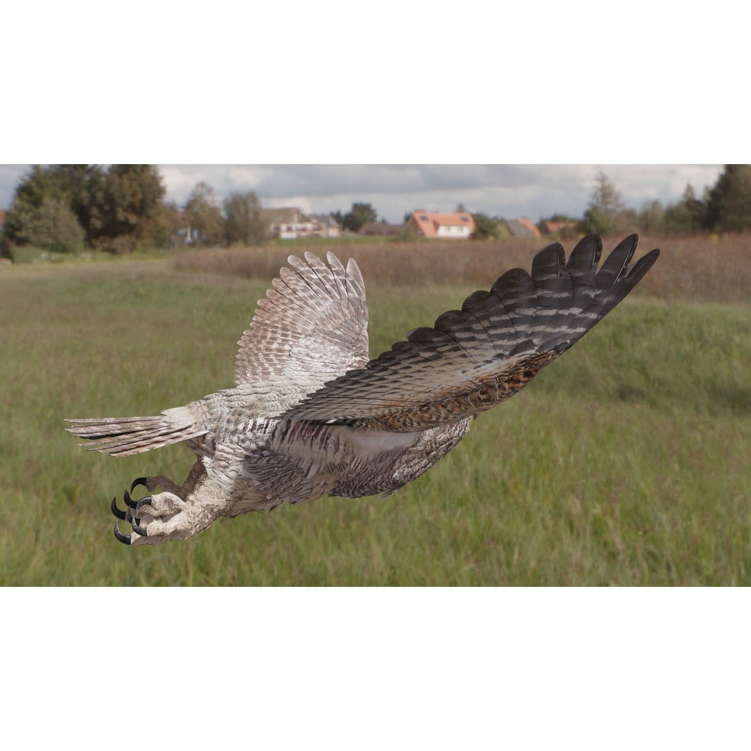 Great Horned Owl 3D Model – Low Poly Rigged Animation for Blender, FBX, OBJ - View 5