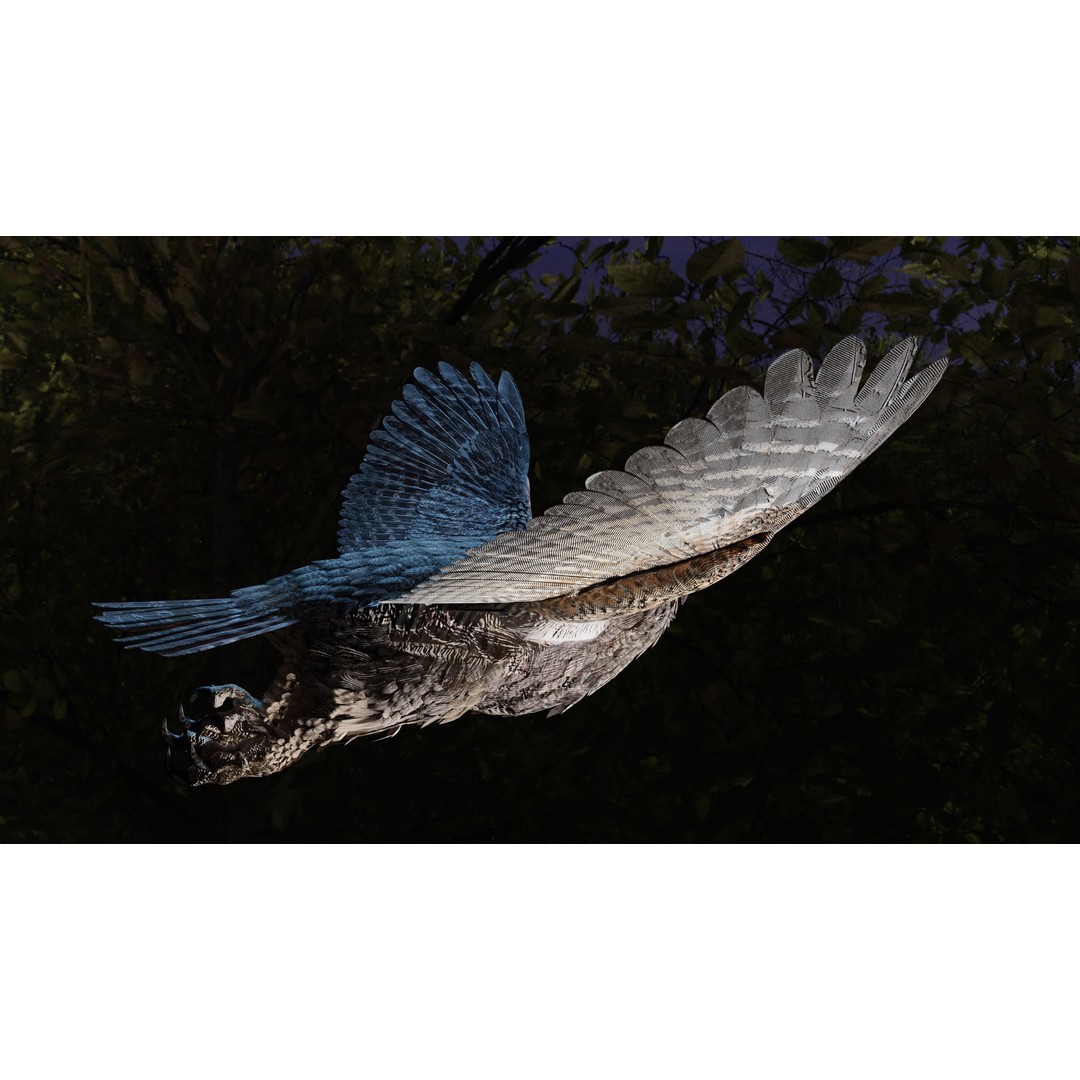 Great Horned Owl 3D Model – Low Poly Rigged Animation for Blender, FBX, OBJ - View 6