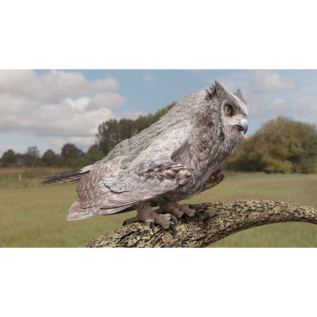 Great Horned Owl 3D Model – Low Poly Rigged Animation for Blender, FBX, OBJ - View 7