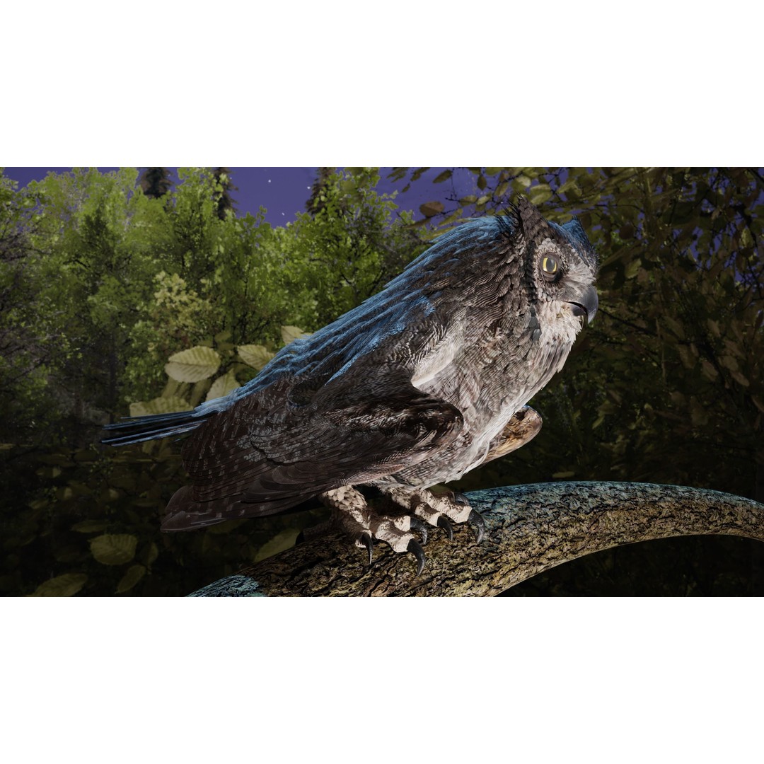 Great Horned Owl 3D Model – Low Poly Rigged Animation for Blender, FBX, OBJ - View 8