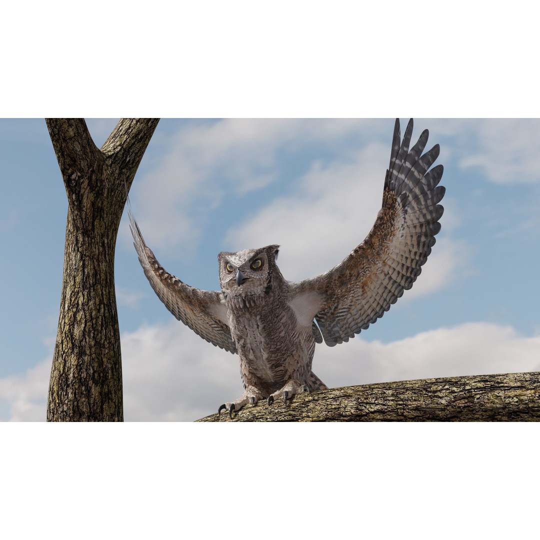 Great Horned Owl 3D Model – Low Poly Rigged Animation for Blender, FBX, OBJ - View 9