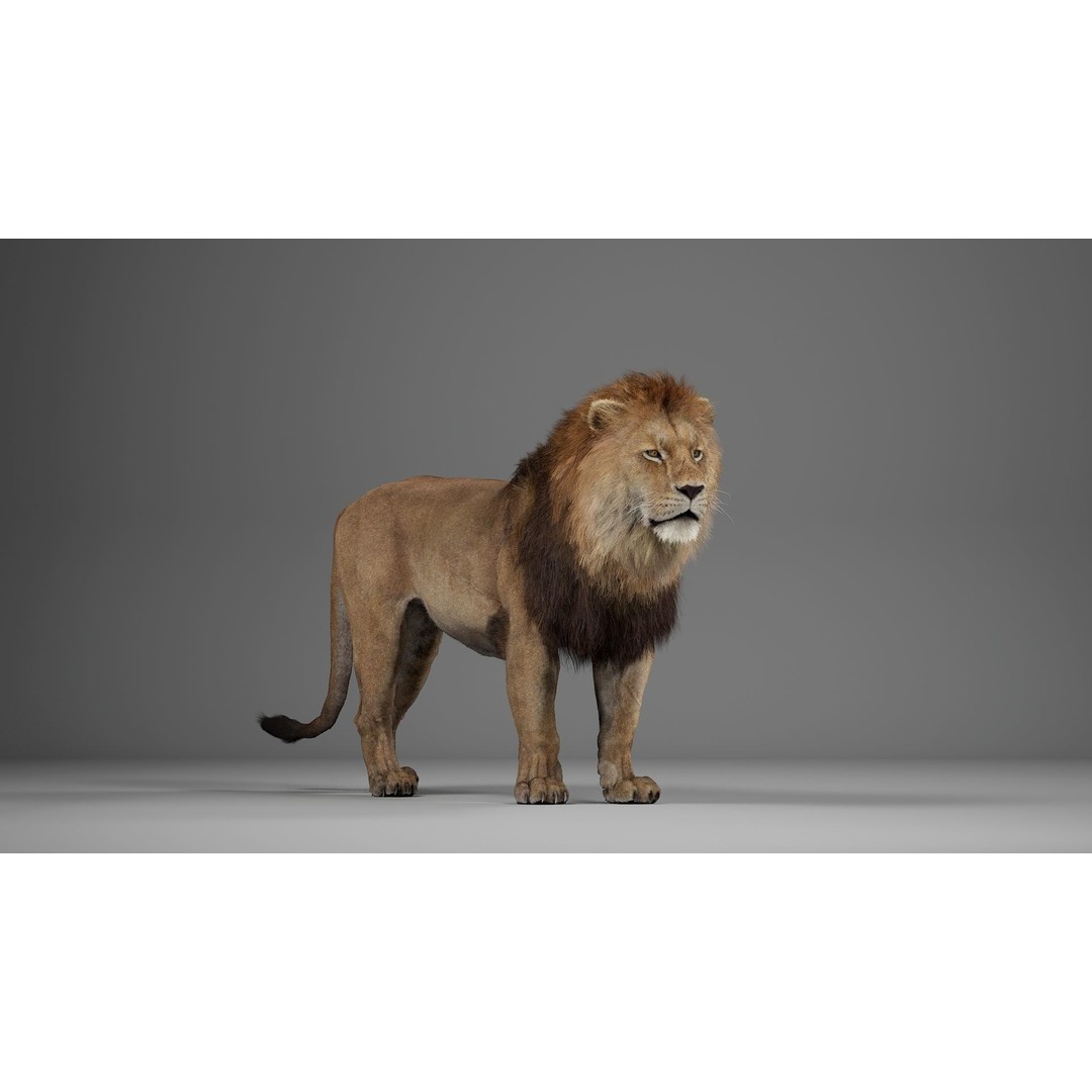 Male Lion 3D Model – Realistic Rigged Character Asset for Unreal Engine - View 10