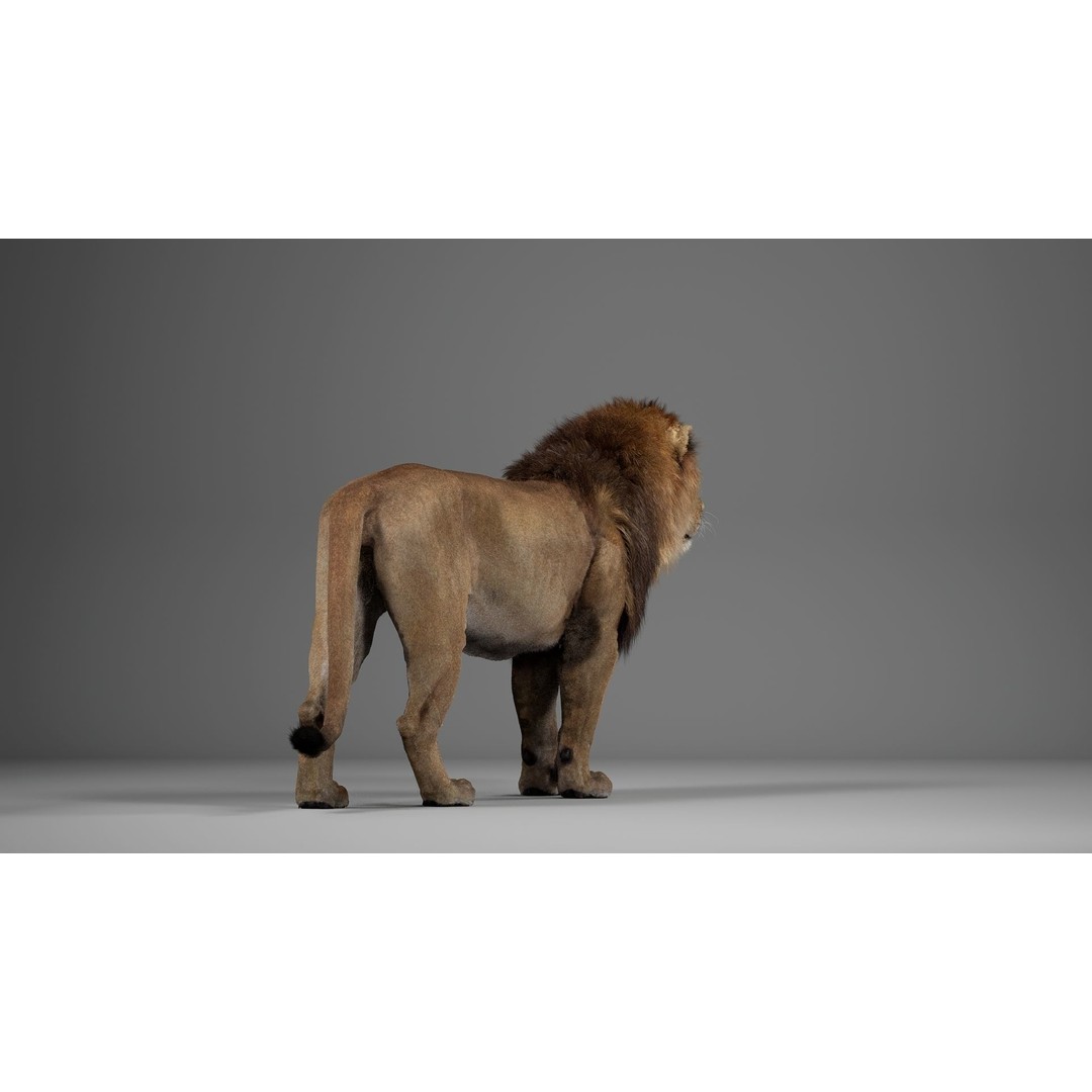 Male Lion 3D Model – Realistic Rigged Character Asset for Unreal Engine - View 12