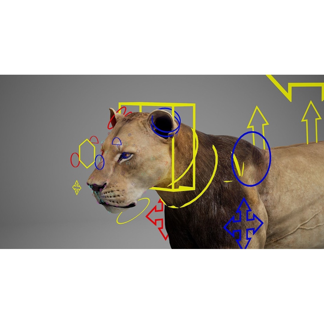 Male Lion 3D Model – Realistic Rigged Character Asset for Unreal Engine - View 17