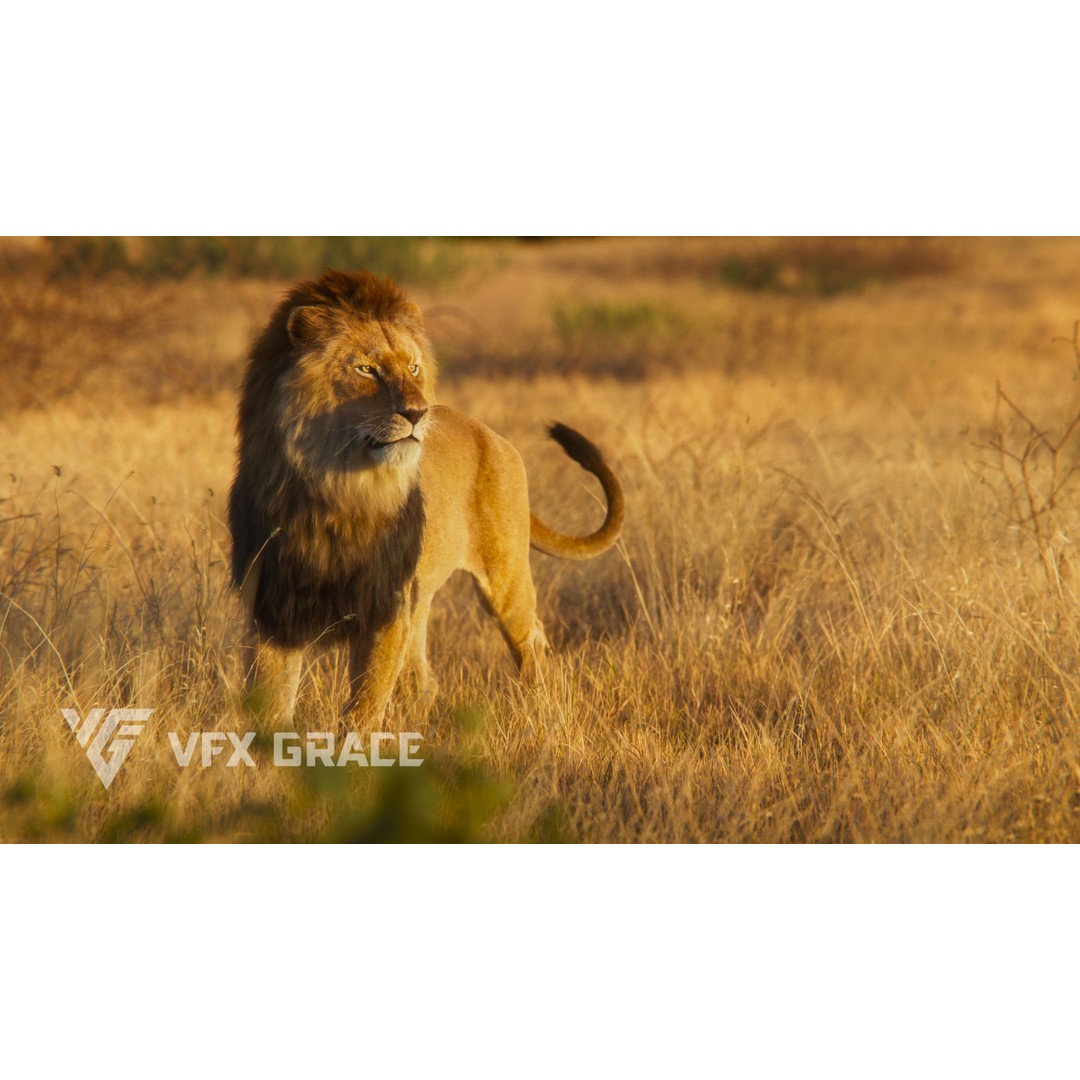 Male Lion 3D Model – Realistic Rigged Character Asset for Unreal Engine - View 3