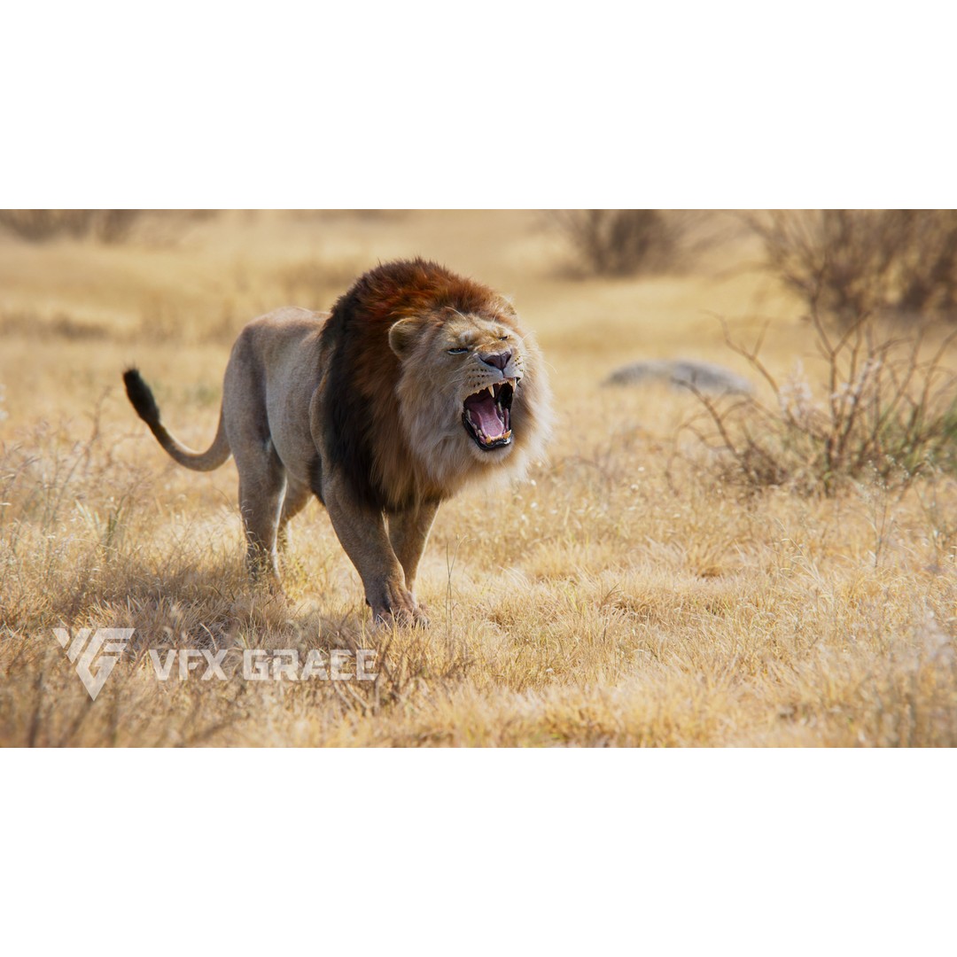 Male Lion 3D Model – Realistic Rigged Character Asset for Unreal Engine - View 4