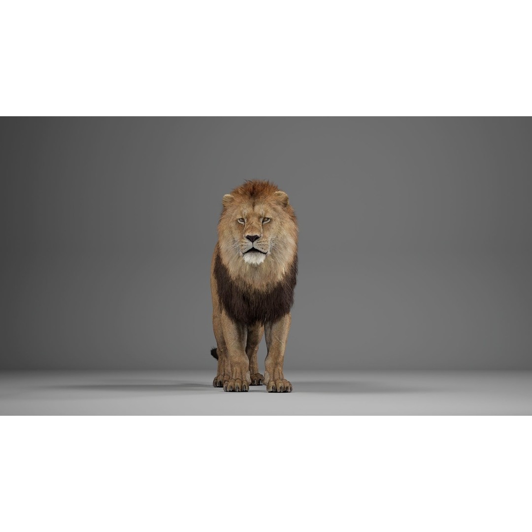 Male Lion 3D Model – Realistic Rigged Character Asset for Unreal Engine - View 5