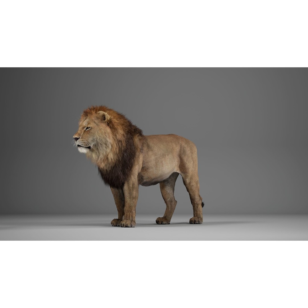 Male Lion 3D Model – Realistic Rigged Character Asset for Unreal Engine - View 6