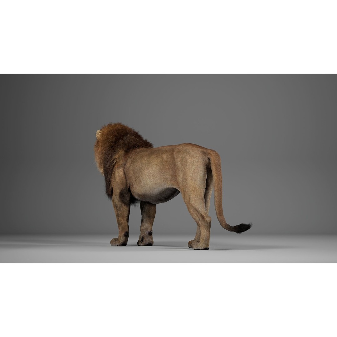 Male Lion 3D Model – Realistic Rigged Character Asset for Unreal Engine - View 8