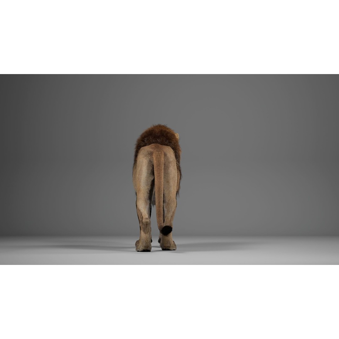 Male Lion 3D Model – Realistic Rigged Character Asset for Unreal Engine - View 9