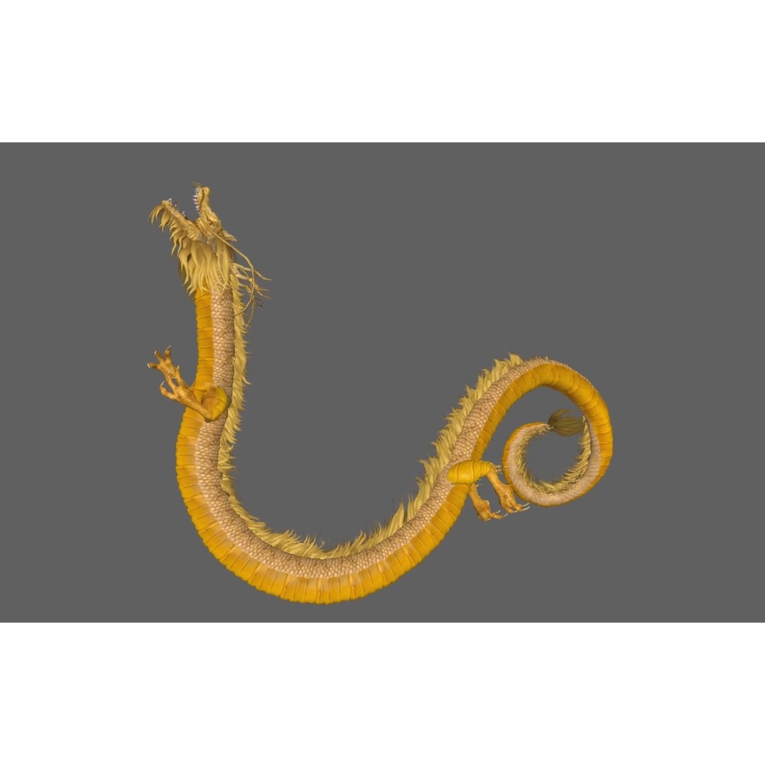 Chinese Dragon 3D Model – Animated Rigged Fantasy Character, FBX - View 12
