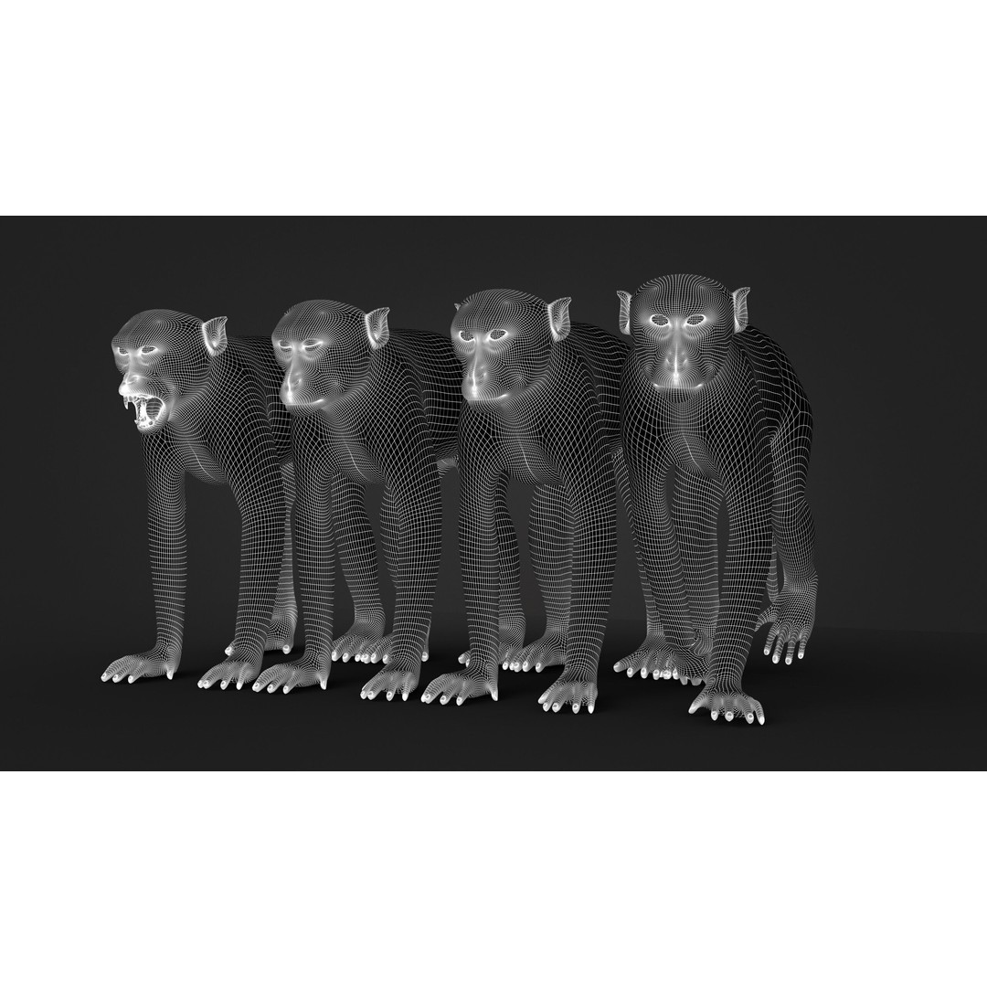 Rhesus Monkey 3D Model – High Poly Static Animal with PBR Textures