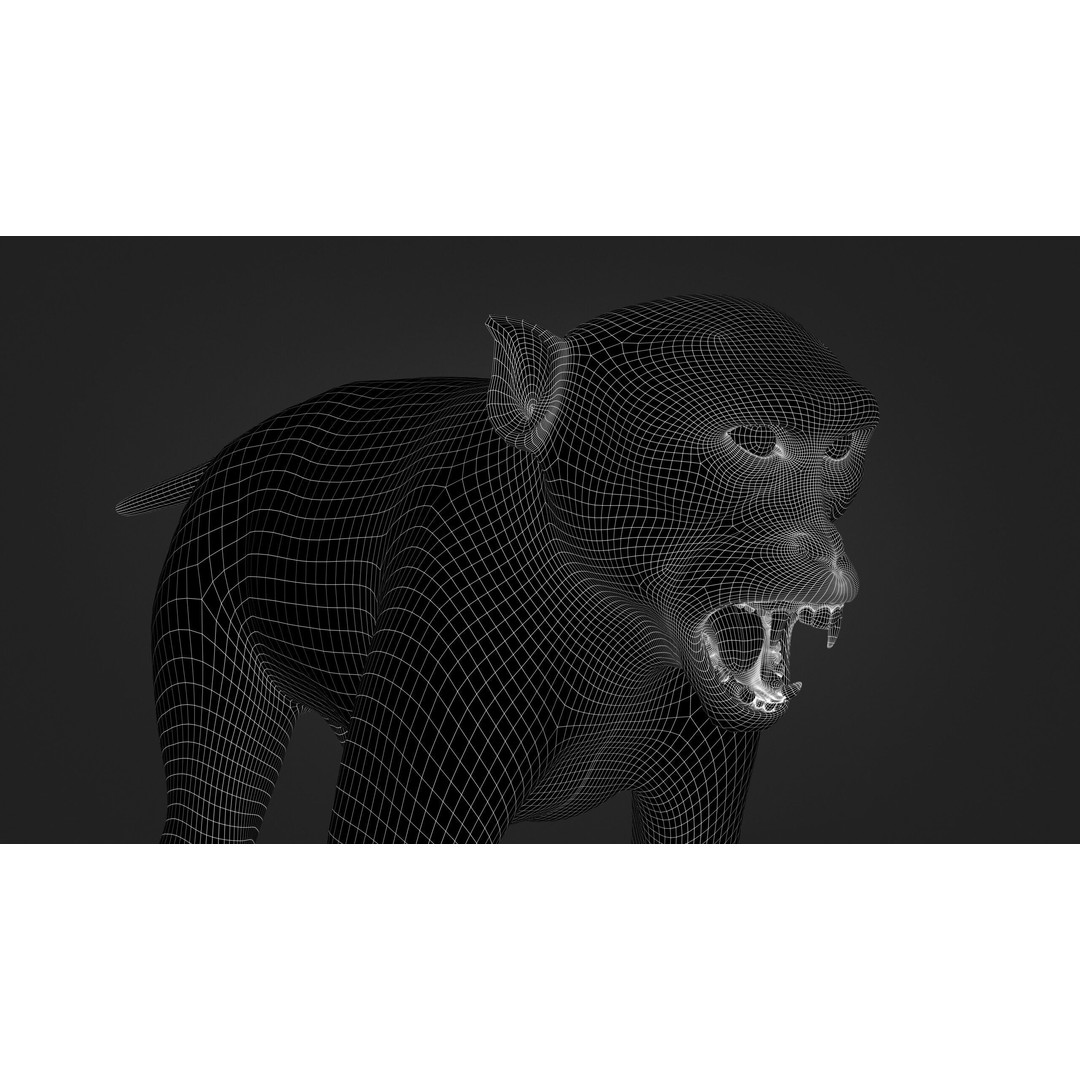 Rhesus Monkey 3D Model – High Poly Static Animal with PBR Textures - View 17