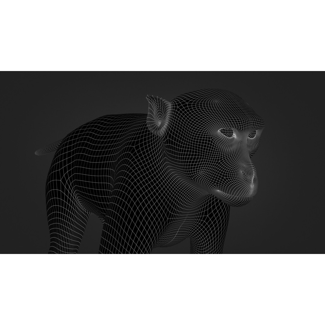 Rhesus Monkey 3D Model – High Poly Static Animal with PBR Textures - View 18
