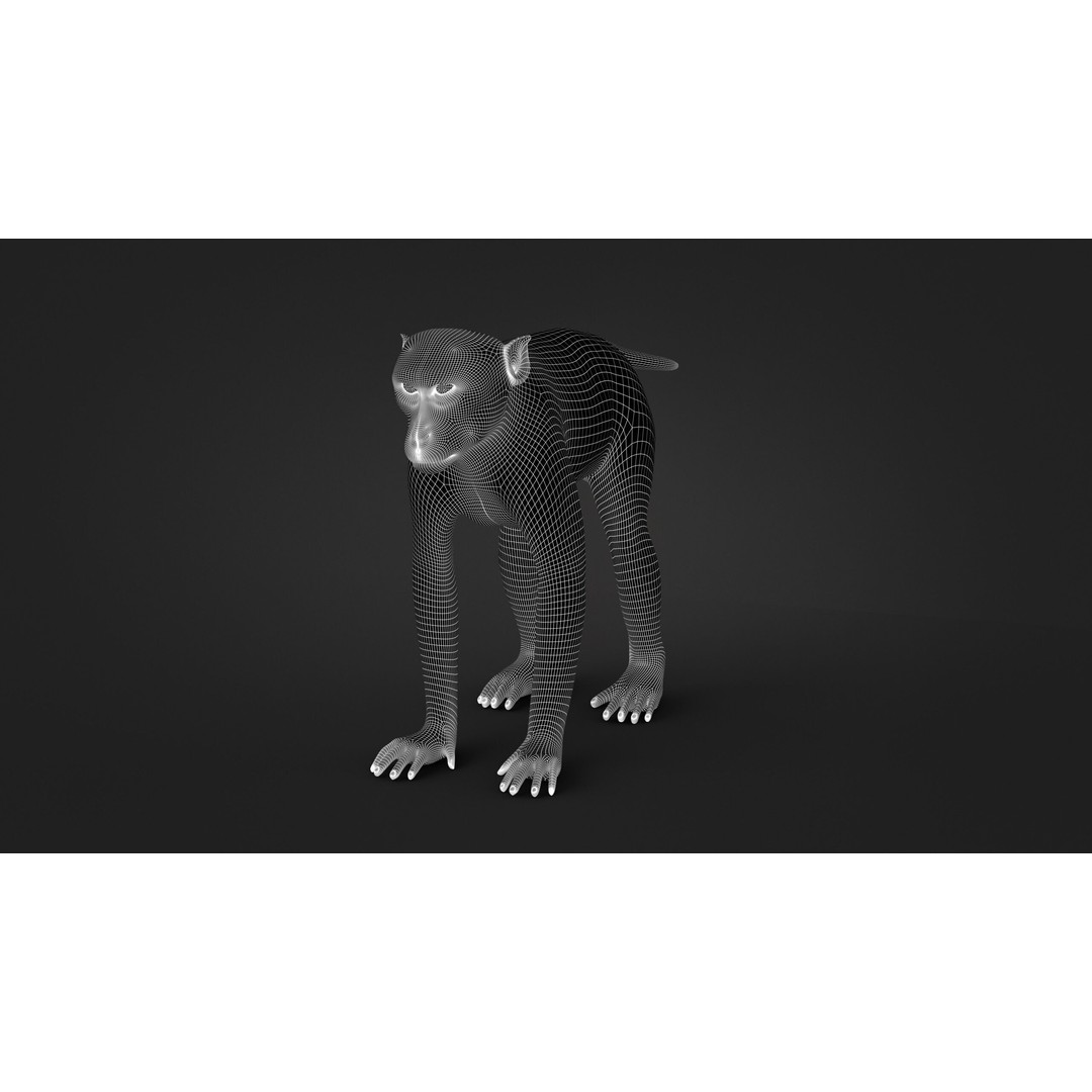 Rhesus Monkey 3D Model – High Poly Static Animal with PBR Textures - View 19