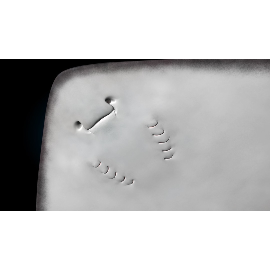 Stingray 3D Model – Rigged and Animated, PBR Textures, FBX - View 13