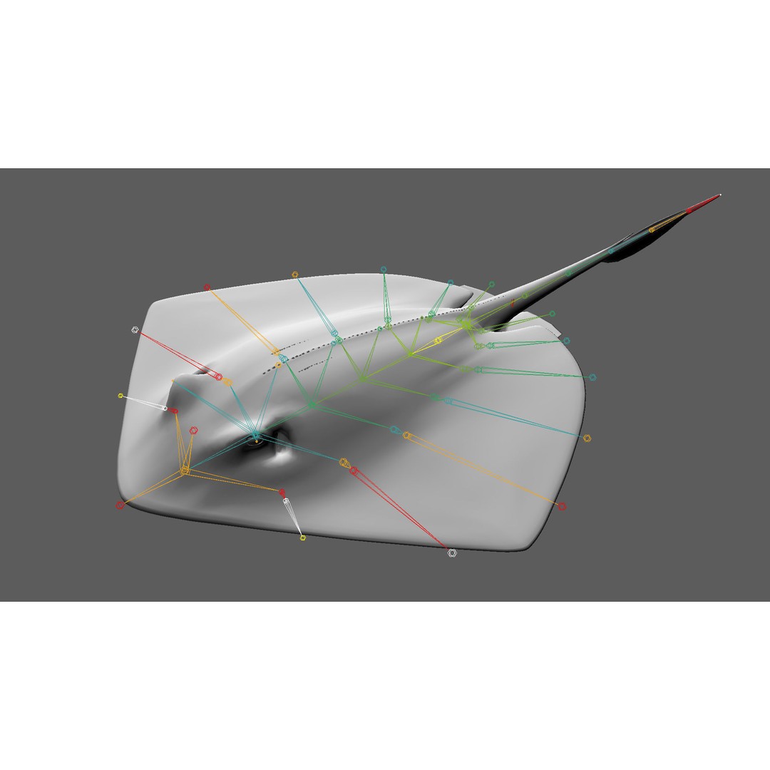 Stingray 3D Model – Rigged and Animated, PBR Textures, FBX - View 17