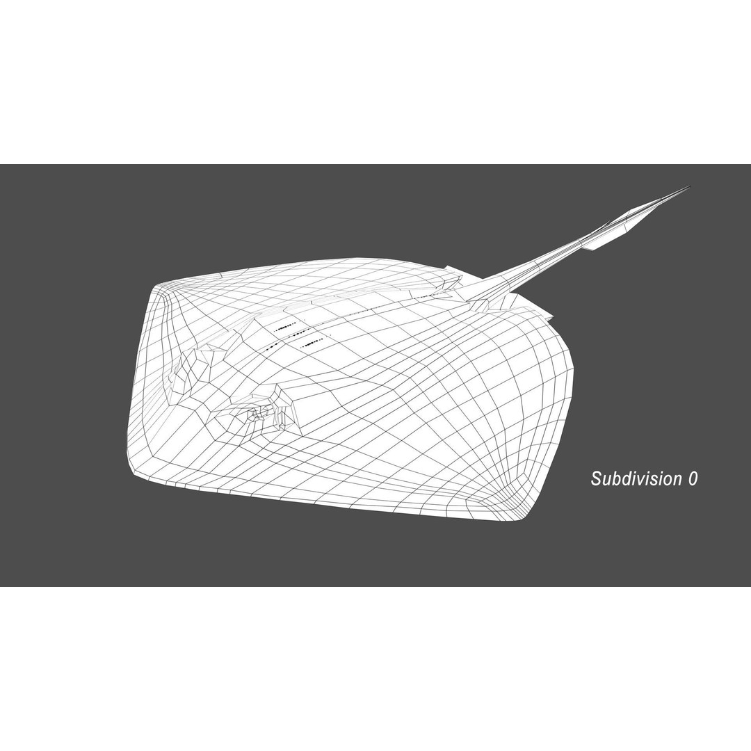 Stingray 3D Model – Rigged and Animated, PBR Textures, FBX - View 18