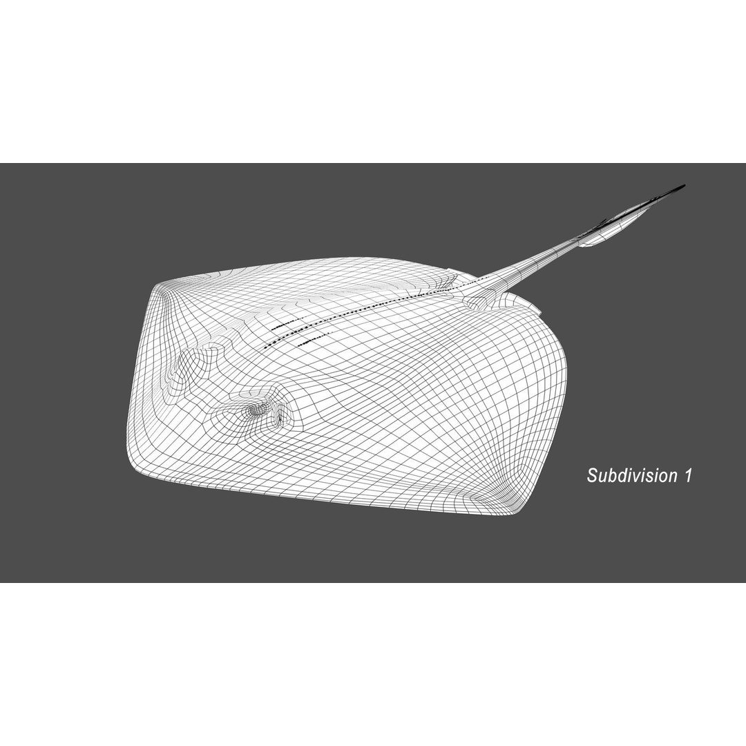 Stingray 3D Model – Rigged and Animated, PBR Textures, FBX - View 19