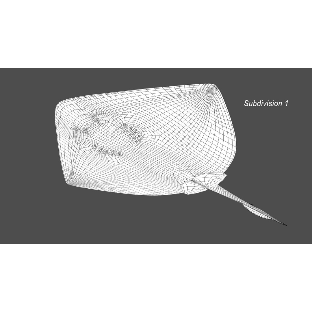 Stingray 3D Model – Rigged and Animated, PBR Textures, FBX - View 21
