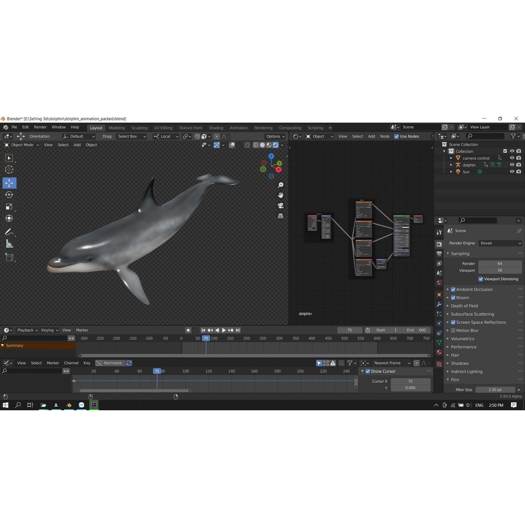 Bottlenose Dolphin 3D Model – Low Poly Rigged Asset, FBX & Blender - View 23