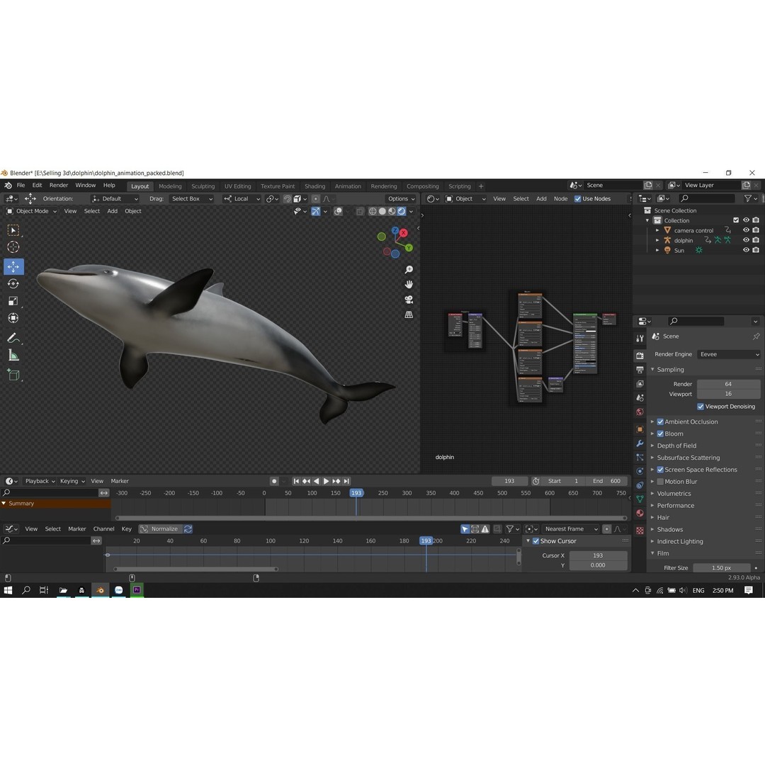 Bottlenose Dolphin 3D Model – Low Poly Rigged Asset, FBX & Blender - View 24