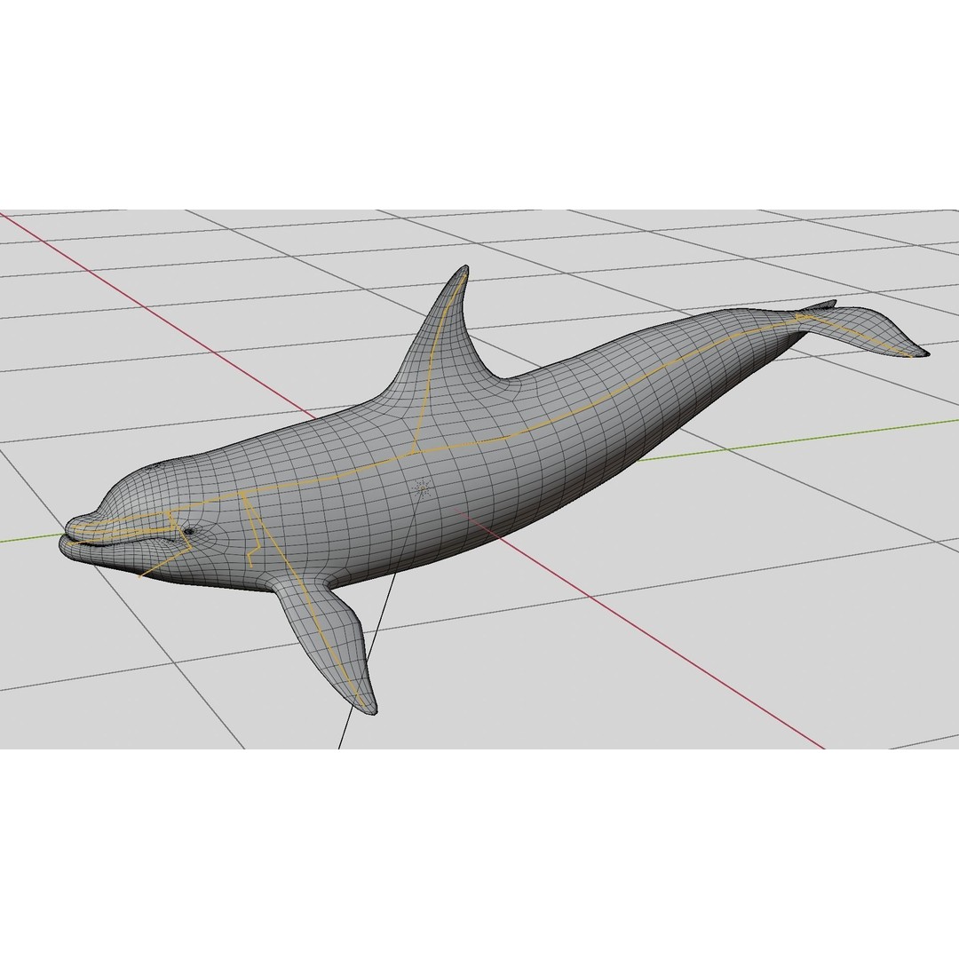 Bottlenose Dolphin 3D Model – Low Poly Rigged Asset, FBX & Blender - View 27