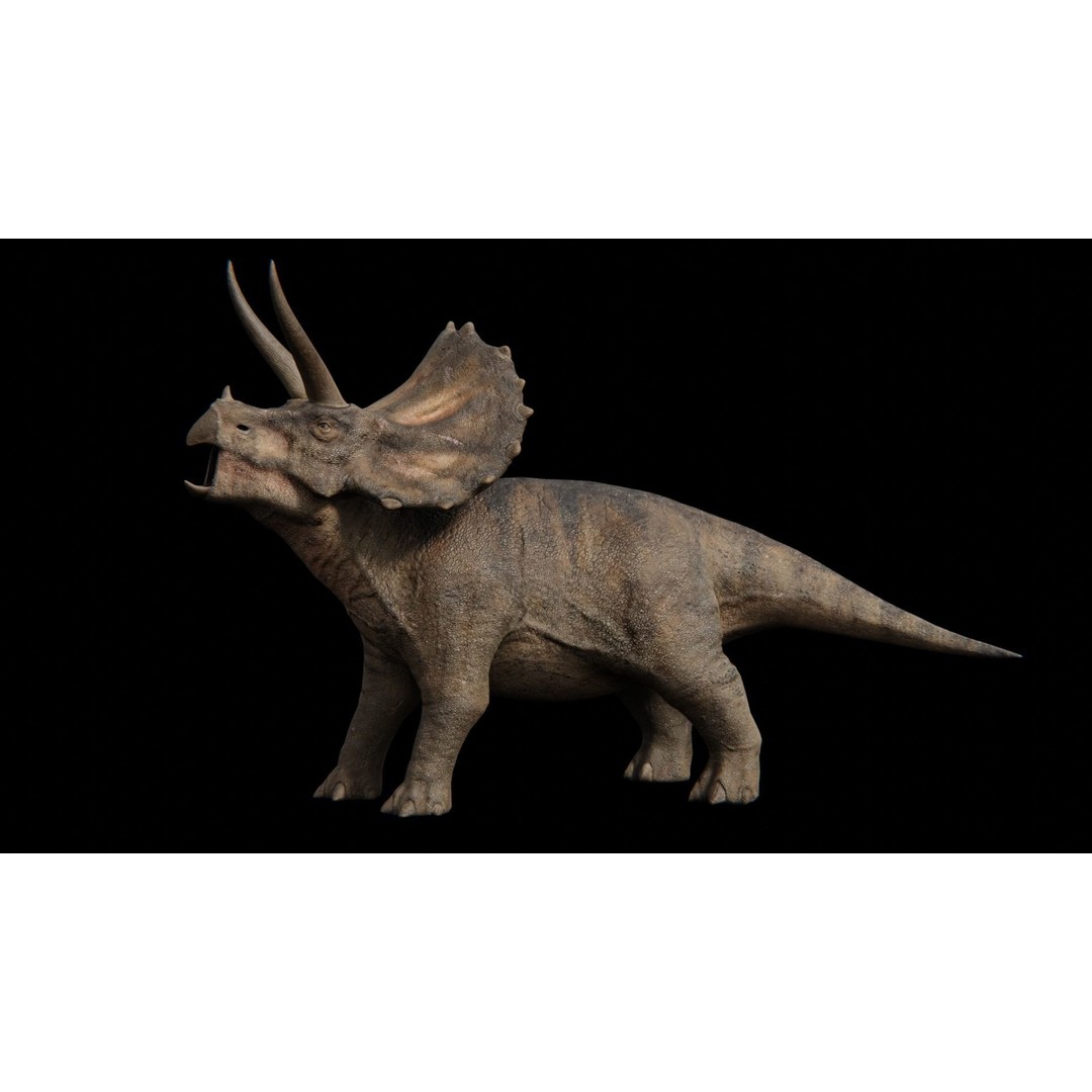 Triceratops 3D Model – Low Poly Rigged Dinosaur with Animations - View 20