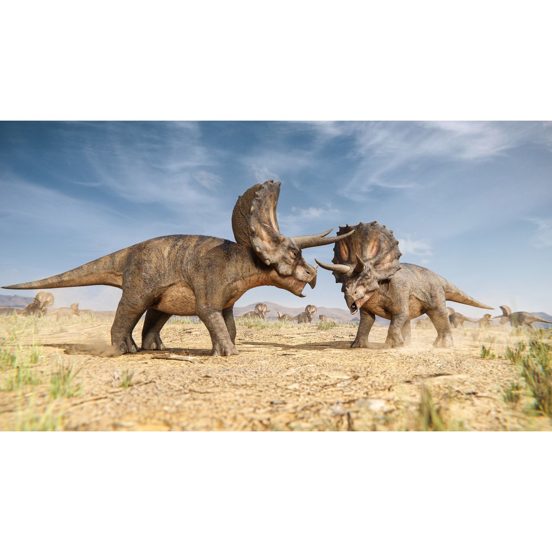 Triceratops 3D Model – Low Poly Rigged Dinosaur with Animations - View 3