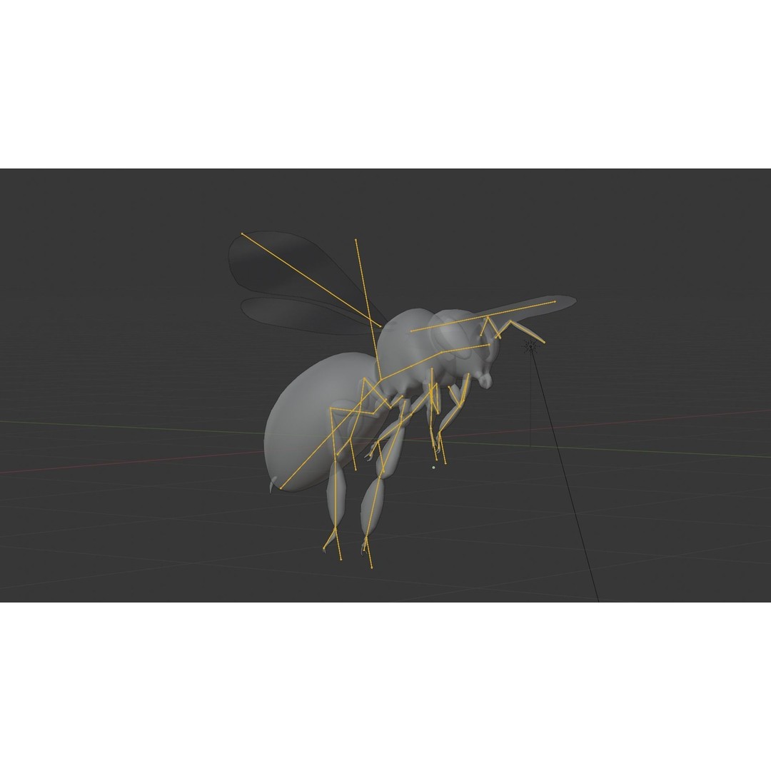 Honey Bee 3D Model – Low Poly Rigged Insect Asset, FBX & Blender - View 25