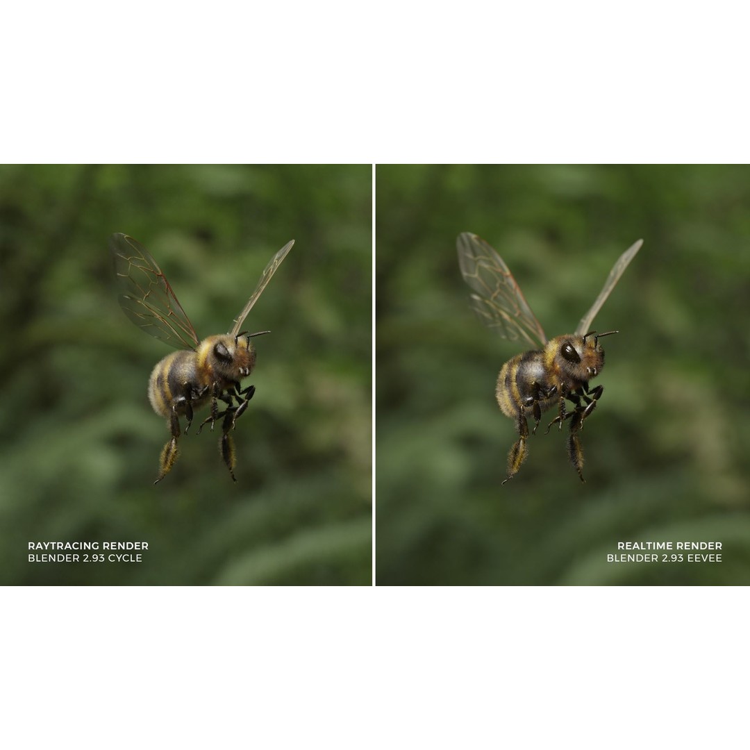 Honey Bee 3D Model – Low Poly Rigged Insect Asset, FBX & Blender - View 5