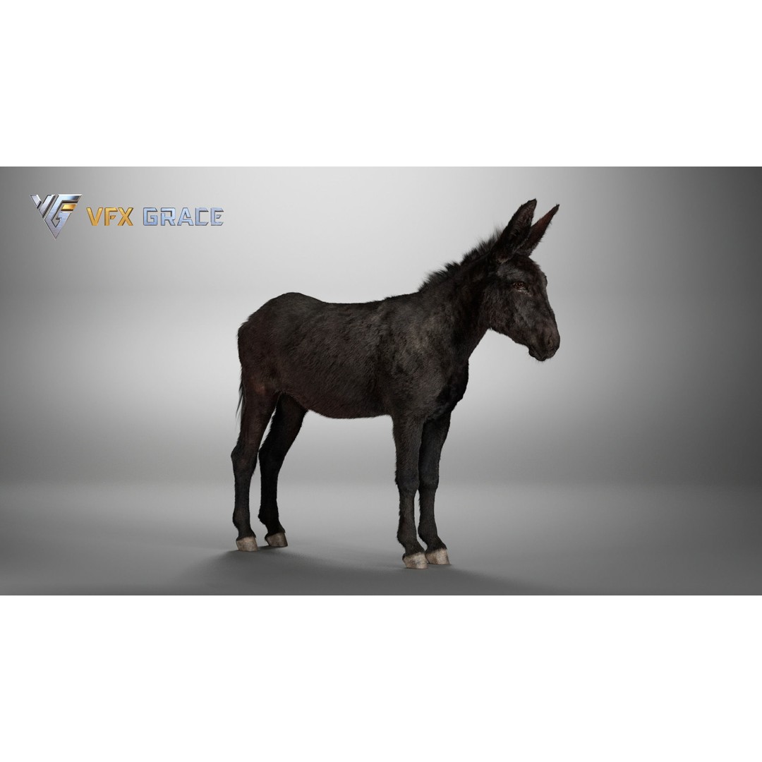 Winter Donkey 3D Model – Realistic Rigged Character for Unreal Engine - View 10