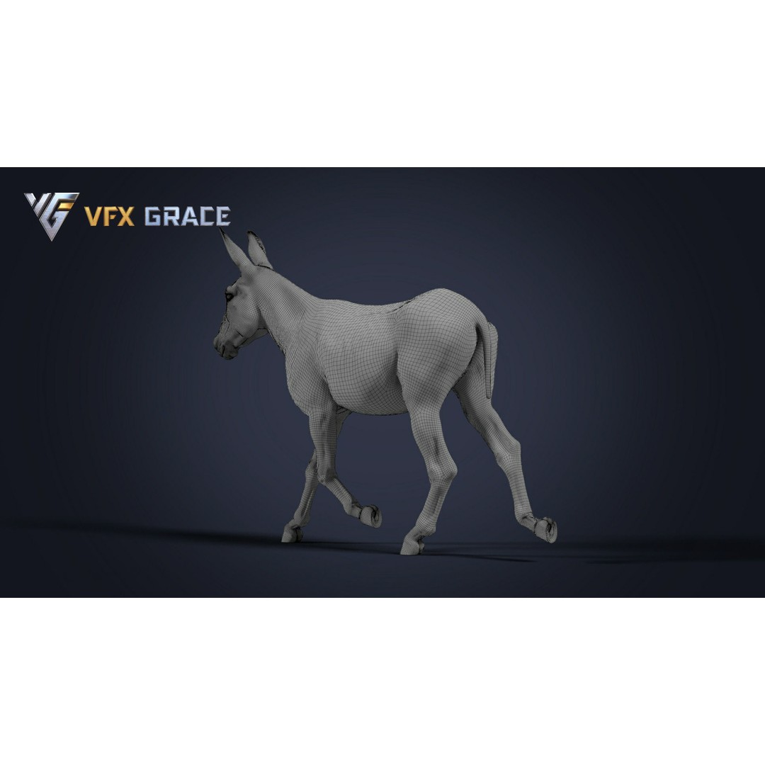 Winter Donkey 3D Model – Realistic Rigged Character for Unreal Engine - View 13