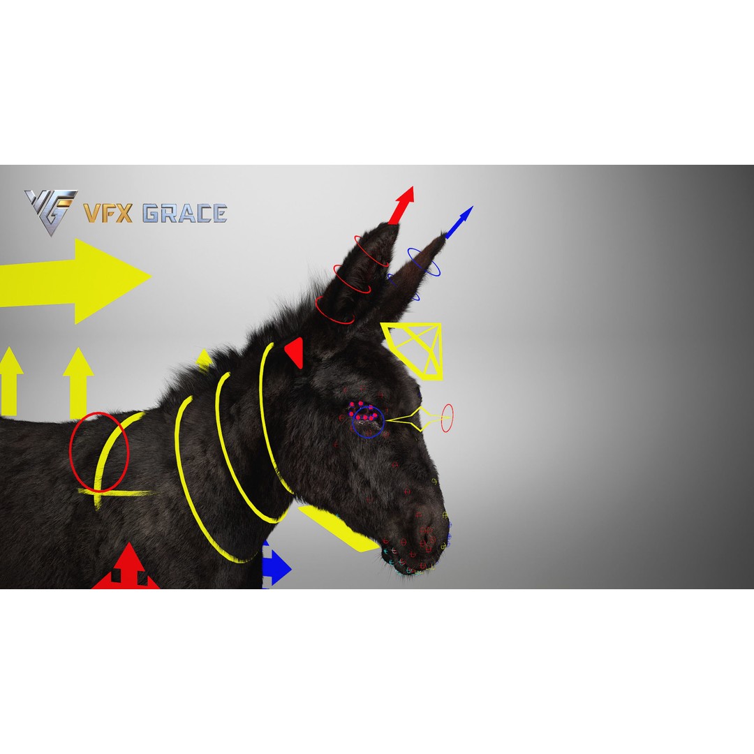 Winter Donkey 3D Model – Realistic Rigged Character for Unreal Engine - View 16