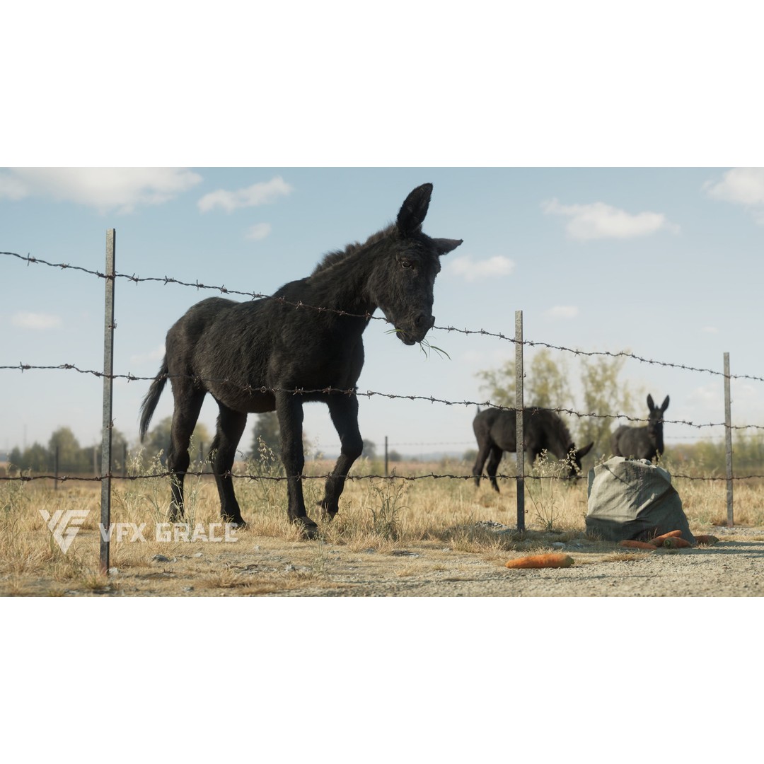 Winter Donkey 3D Model – Realistic Rigged Character for Unreal Engine - View 3