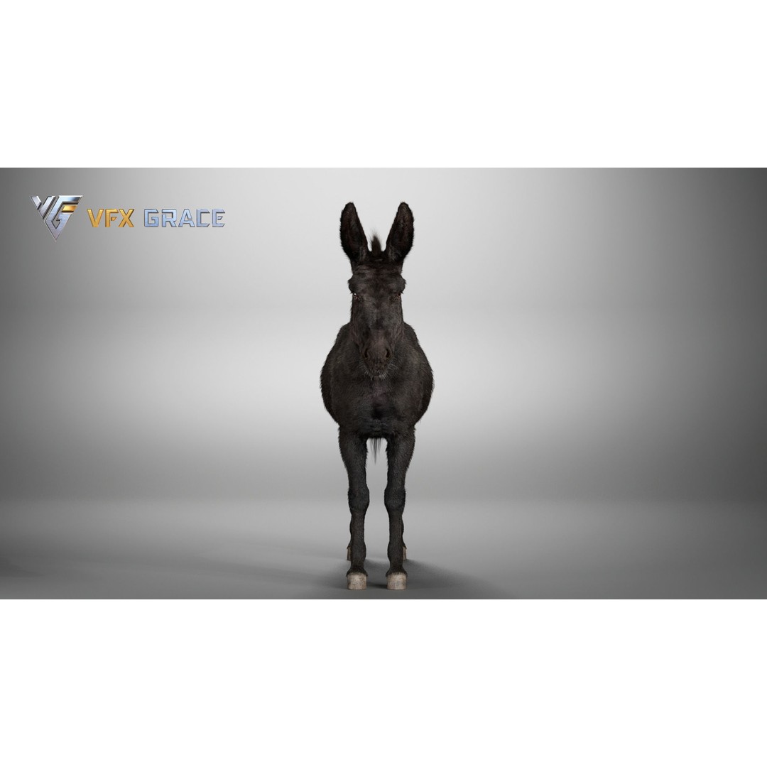 Winter Donkey 3D Model – Realistic Rigged Character for Unreal Engine - View 6