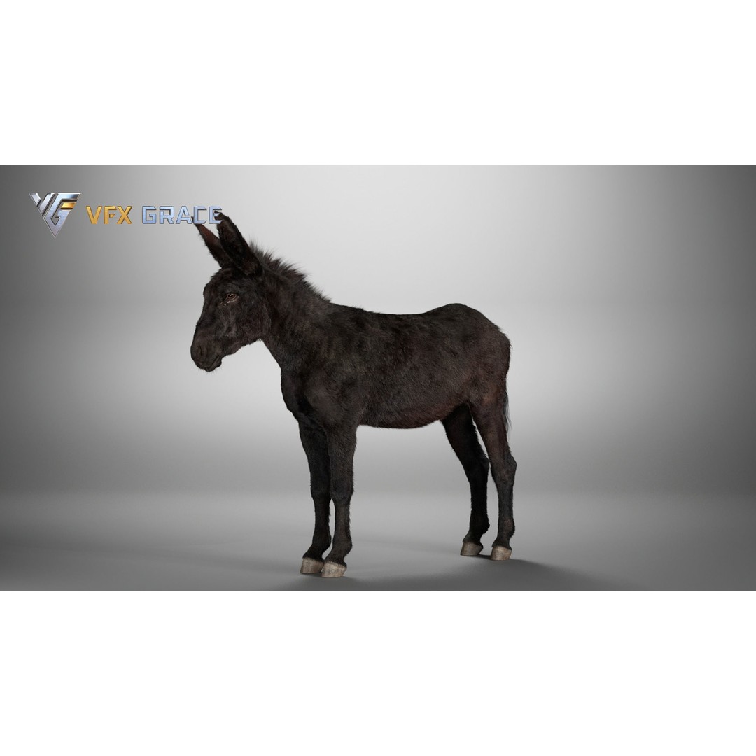 Winter Donkey 3D Model – Realistic Rigged Character for Unreal Engine - View 7