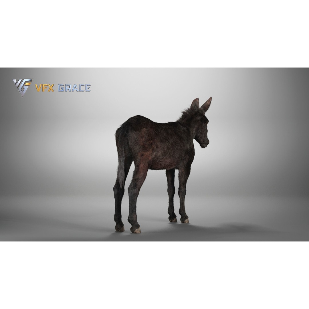 Winter Donkey 3D Model – Realistic Rigged Character for Unreal Engine - View 8