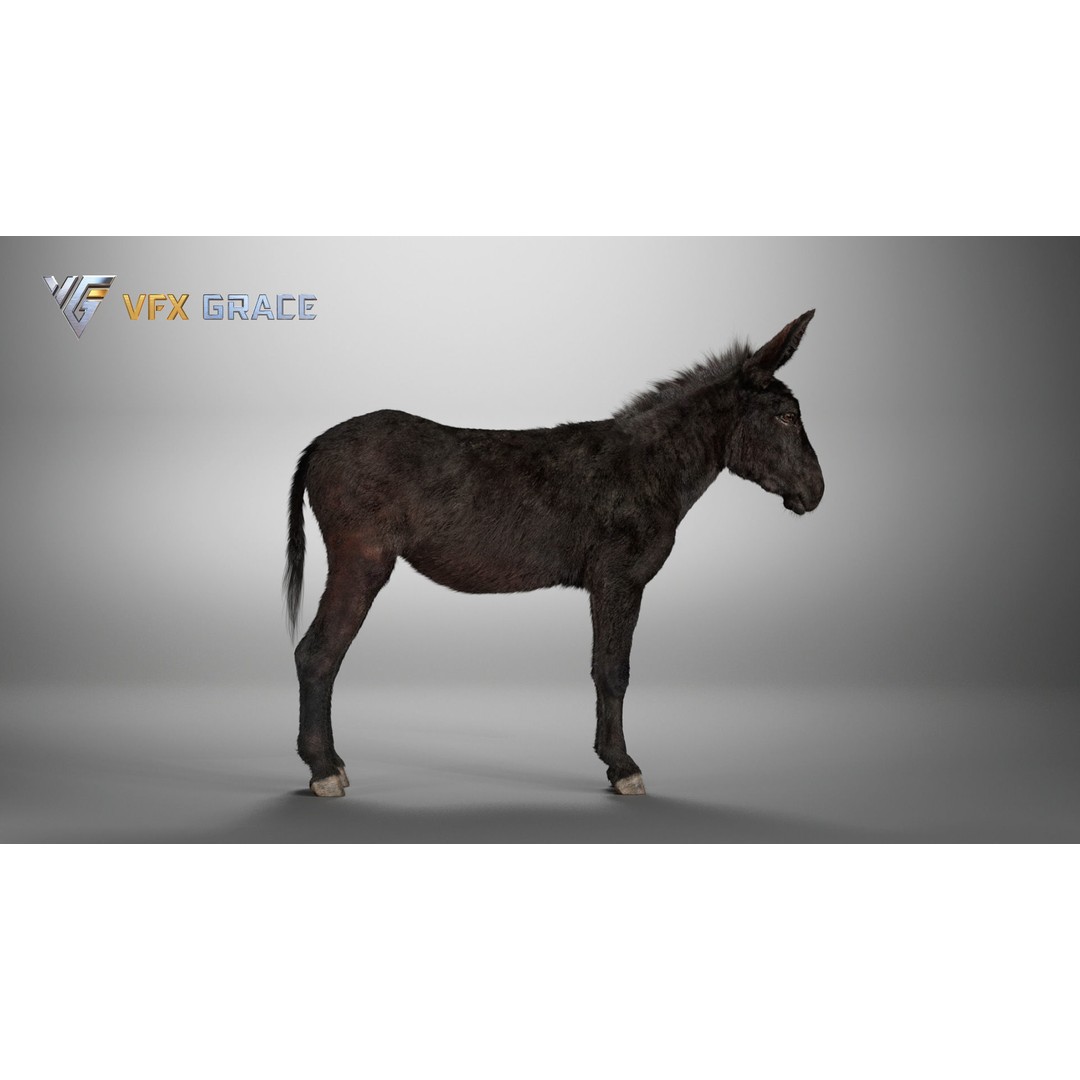 Winter Donkey 3D Model – Realistic Rigged Character for Unreal Engine - View 9