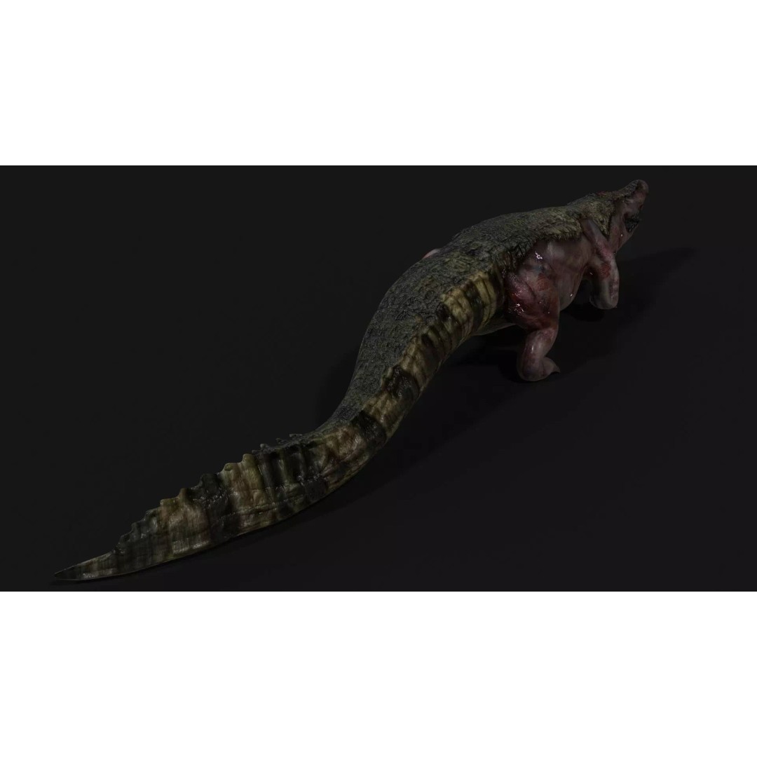 Crocodile 3D Model – Low Poly Zombie Creature, FBX, Unity, Unreal - View 10