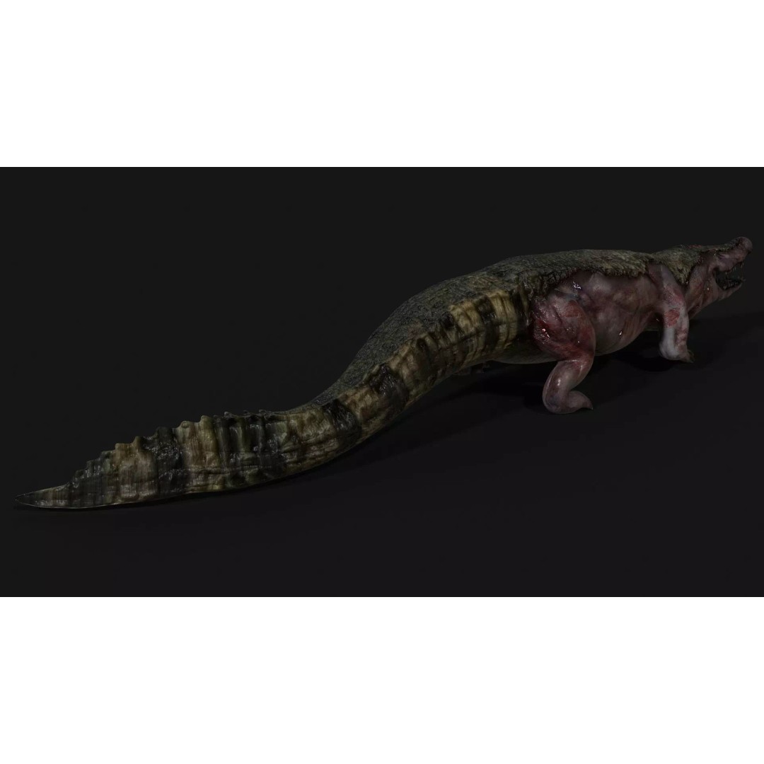 Crocodile 3D Model – Low Poly Zombie Creature, FBX, Unity, Unreal - View 11