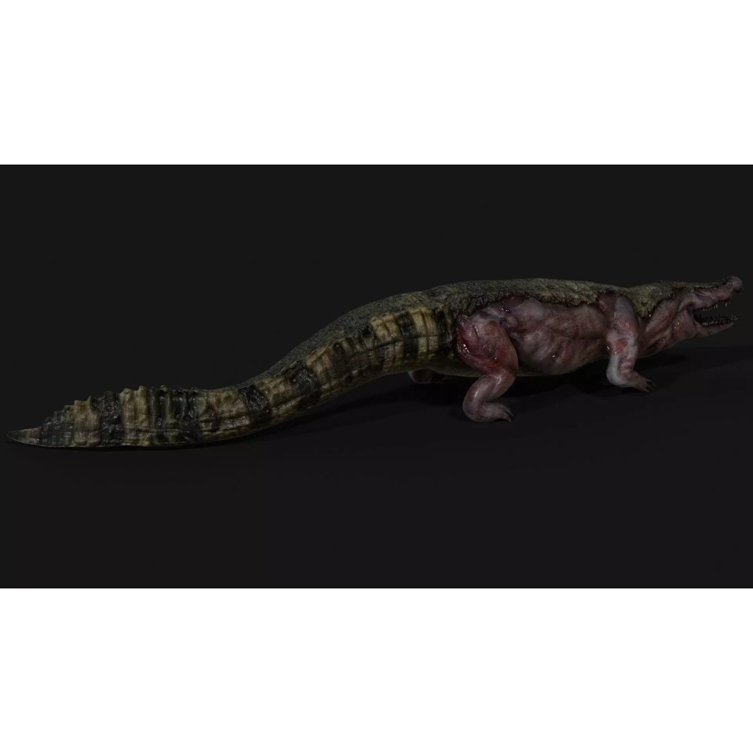 Crocodile 3D Model – Low Poly Zombie Creature, FBX, Unity, Unreal - View 12