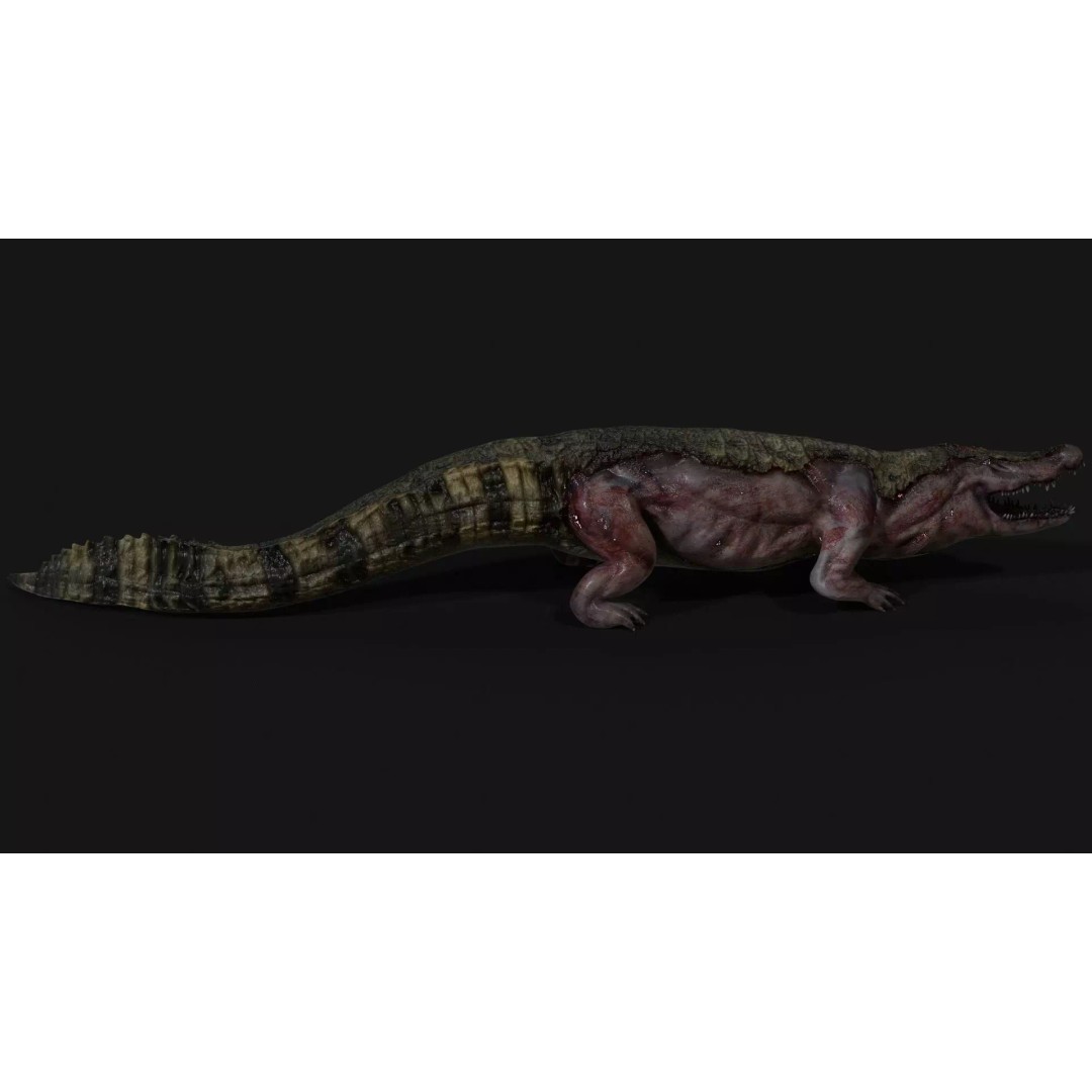 Crocodile 3D Model – Low Poly Zombie Creature, FBX, Unity, Unreal - View 13
