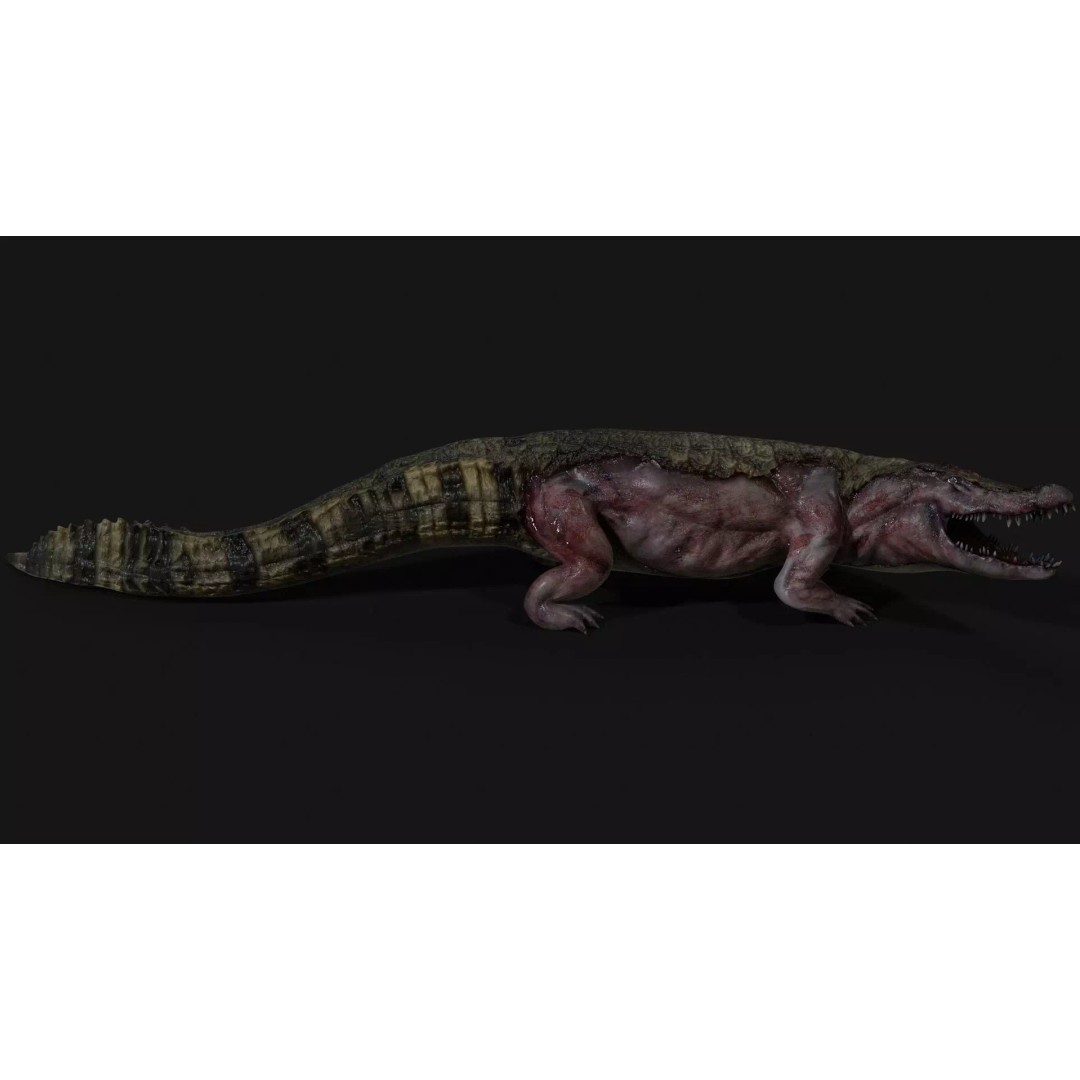 Crocodile 3D Model – Low Poly Zombie Creature, FBX, Unity, Unreal - View 14
