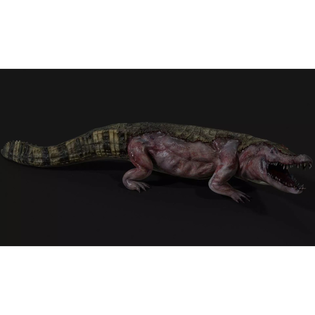 Crocodile 3D Model – Low Poly Zombie Creature, FBX, Unity, Unreal - View 15