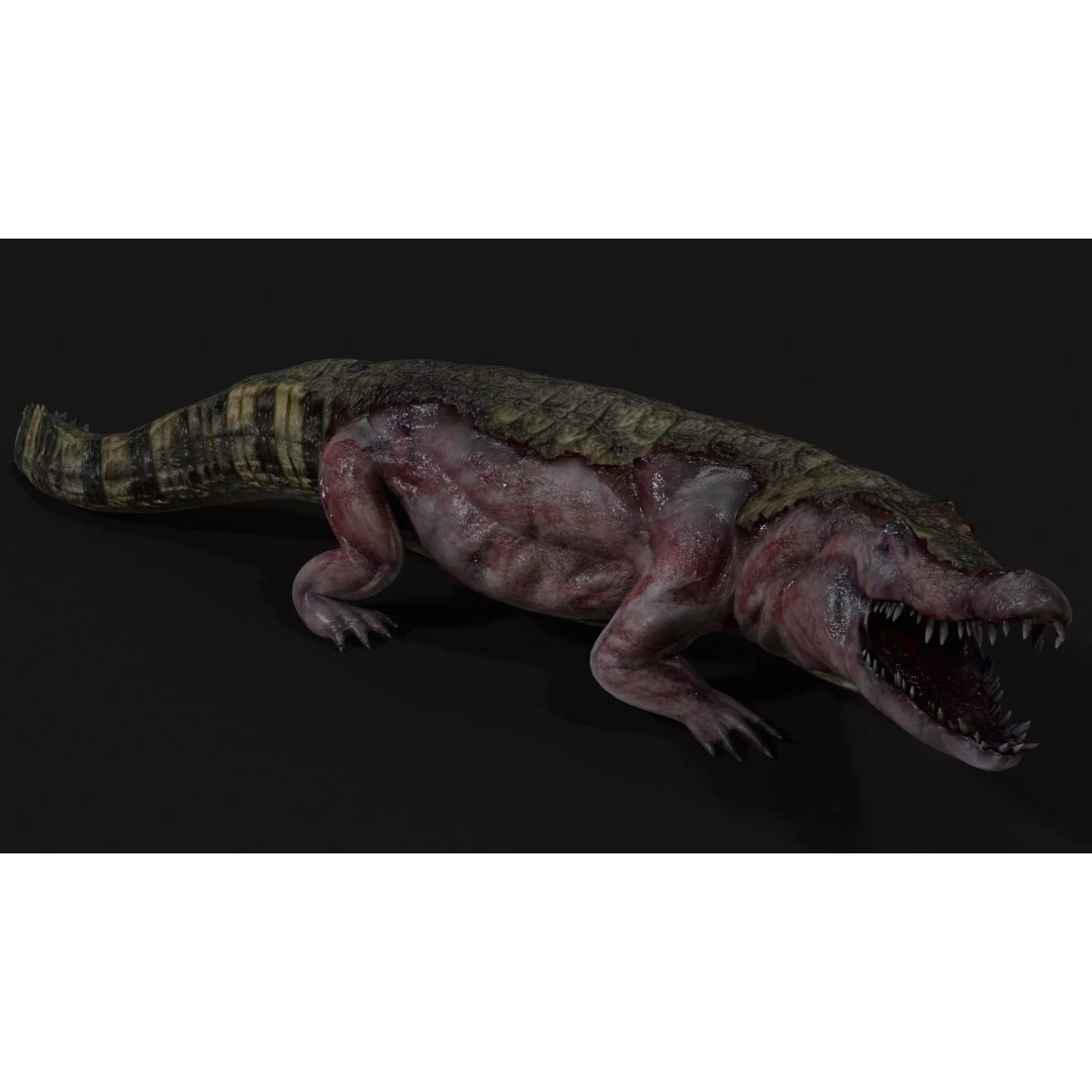 Crocodile 3D Model – Low Poly Zombie Creature, FBX, Unity, Unreal - View 16