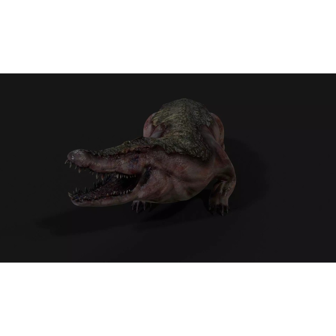 Crocodile 3D Model – Low Poly Zombie Creature, FBX, Unity, Unreal - View 18
