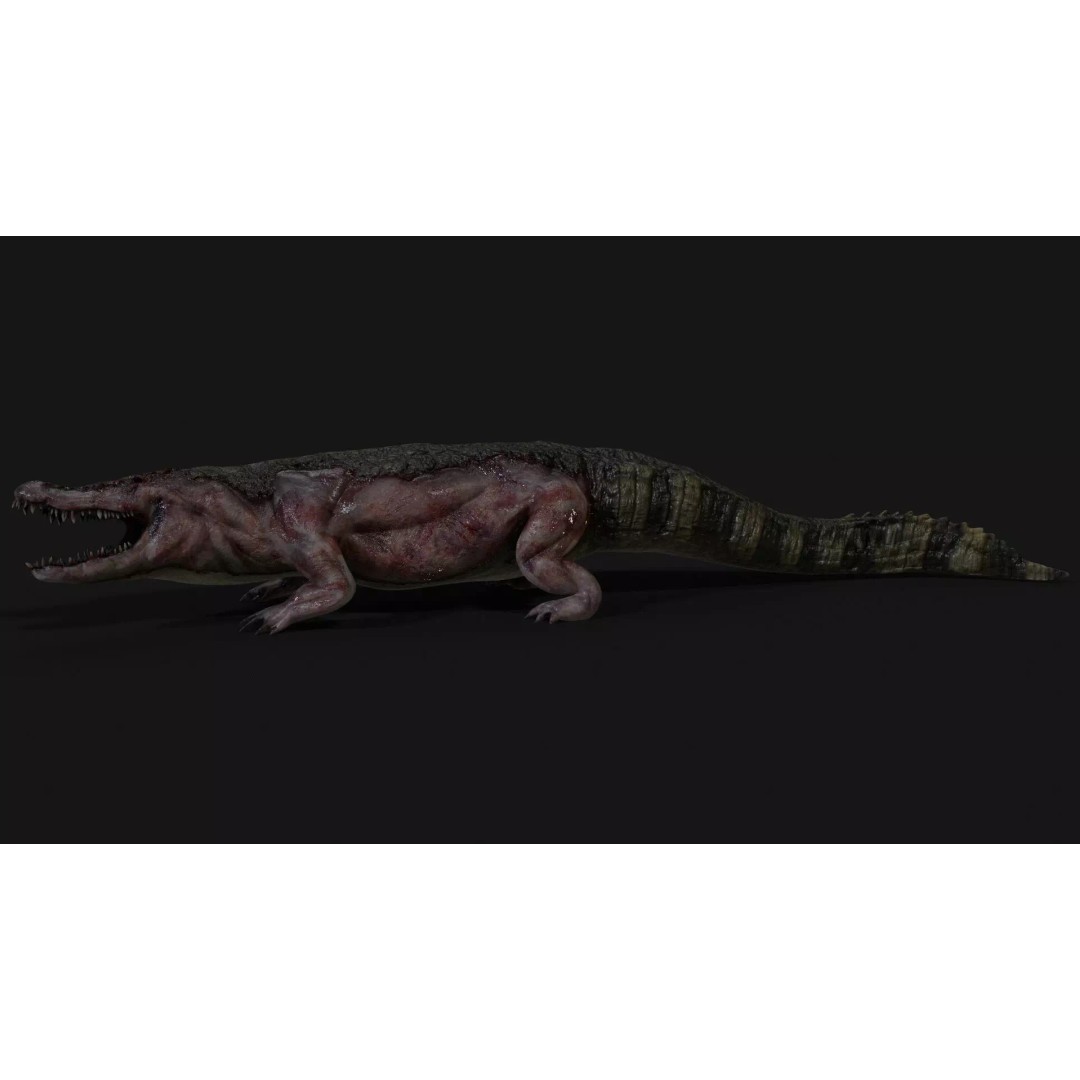 Crocodile 3D Model – Low Poly Zombie Creature, FBX, Unity, Unreal - View 22