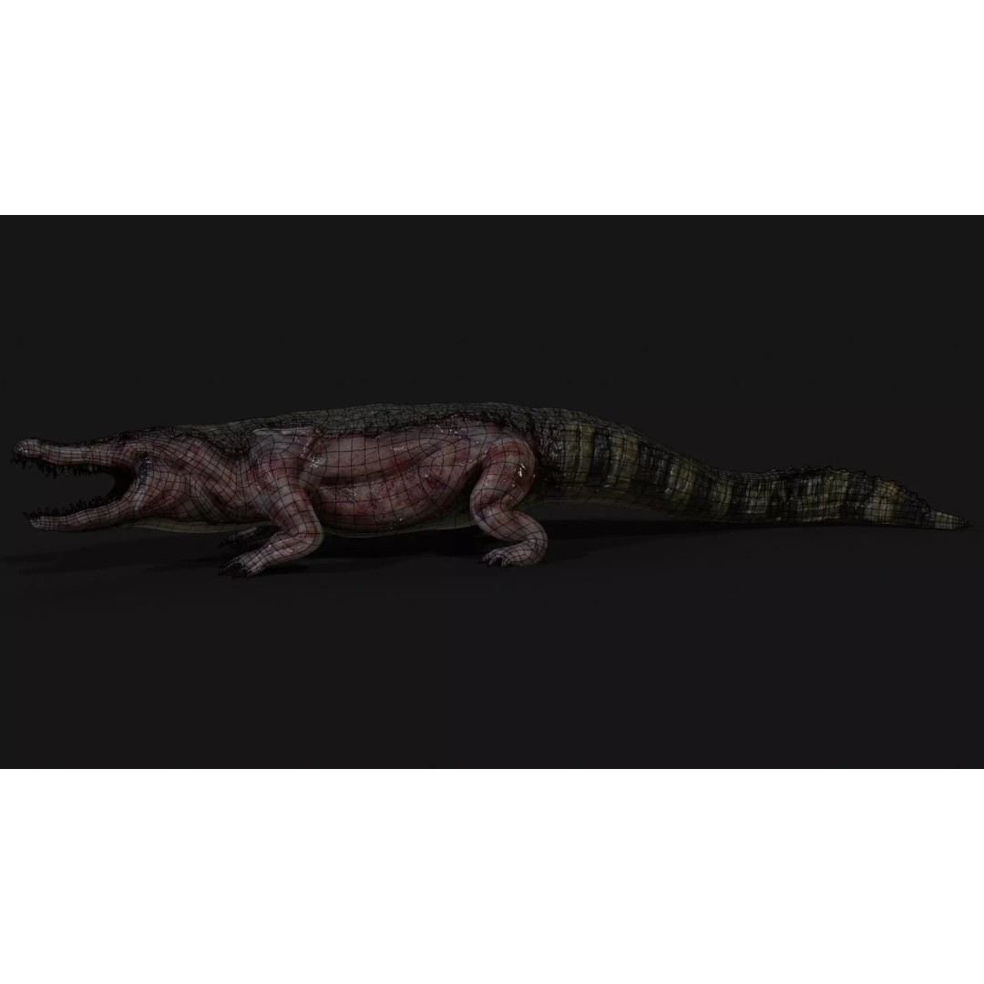 Crocodile 3D Model – Low Poly Zombie Creature, FBX, Unity, Unreal - View 23