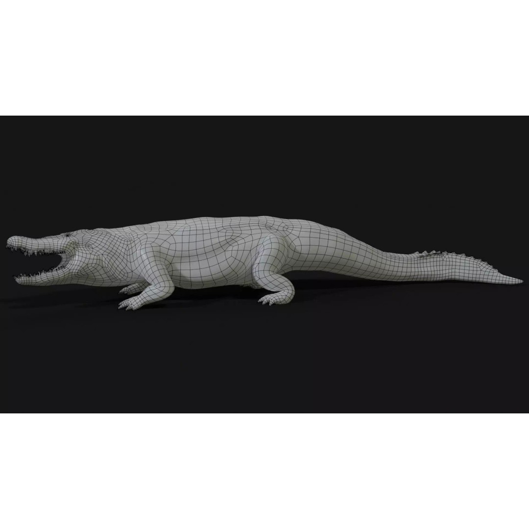 Crocodile 3D Model – Low Poly Zombie Creature, FBX, Unity, Unreal - View 24